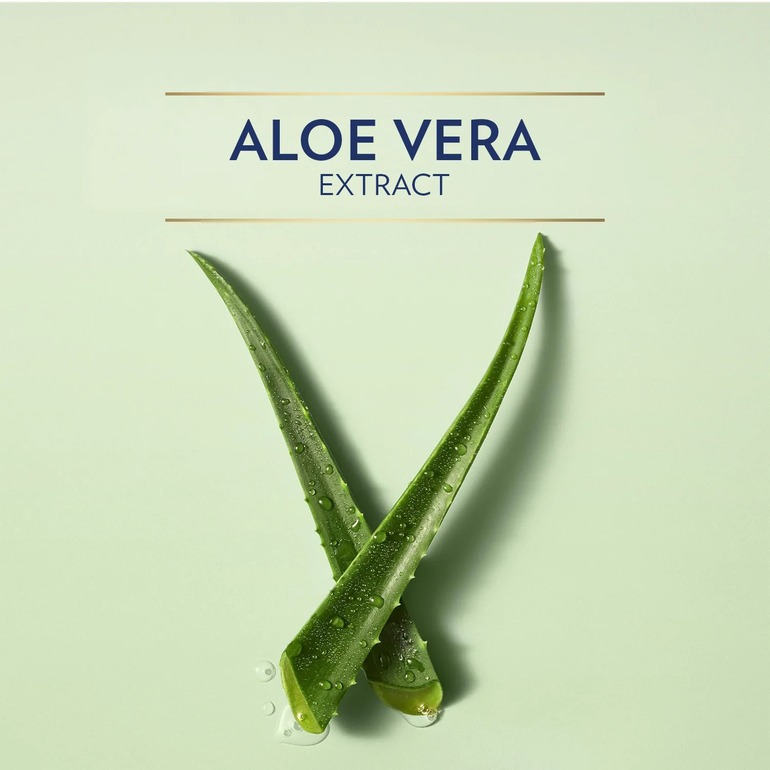 Vaseline Aloe Fresh Lotion-200ml thumbnail 5