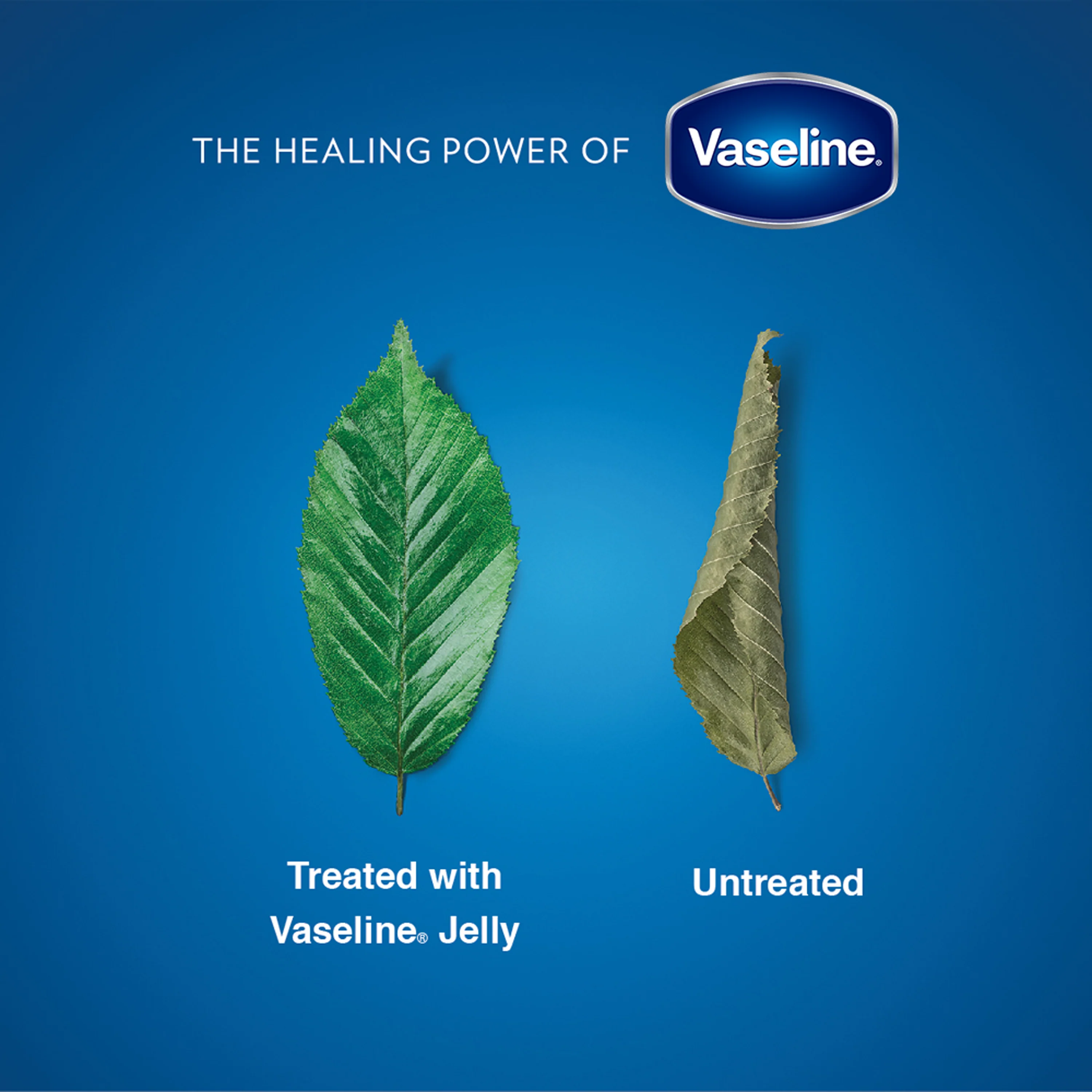 Vaseline Petroleum Jelly-50ml thumbnail 5