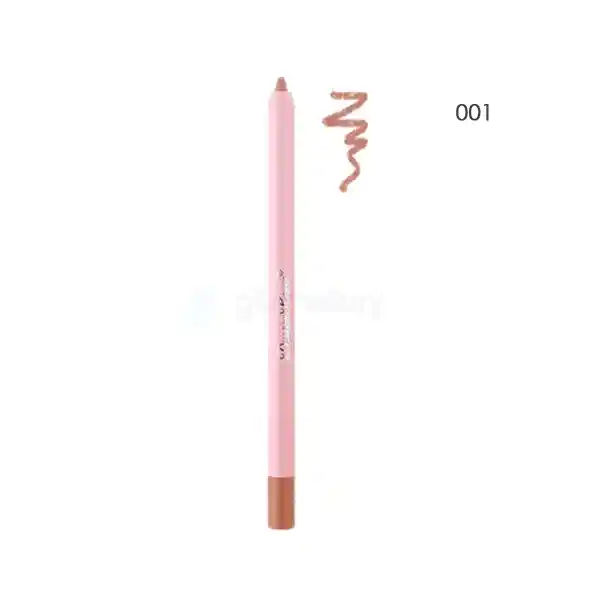 Dragon Ranee Waterproof Lip Liner Shade 001