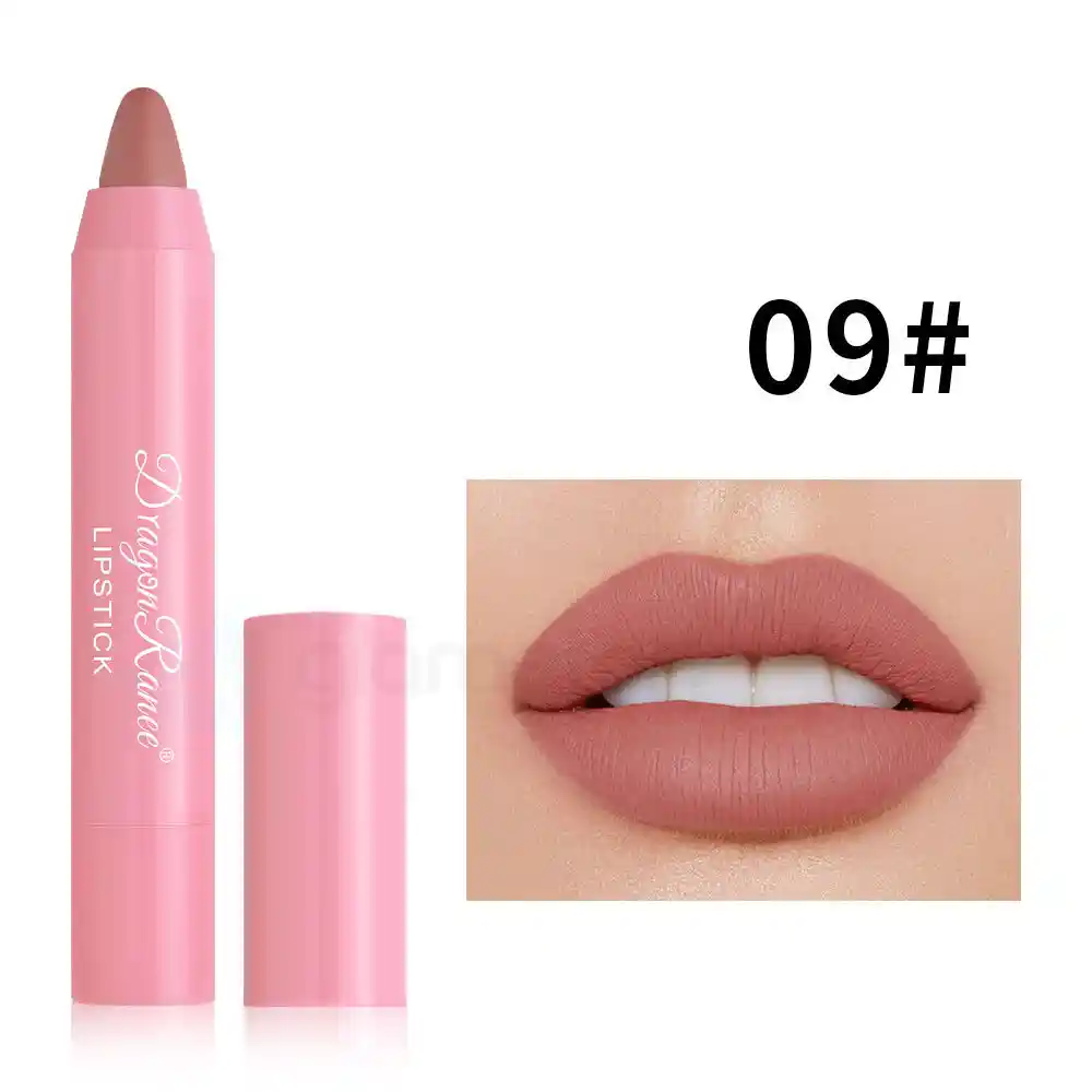 Dragon Ranee Luxury Light Matte Lipstick Shade 09