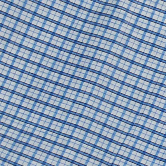 White & Blue Check Cotton Lungi-1103252 thumbnail 3