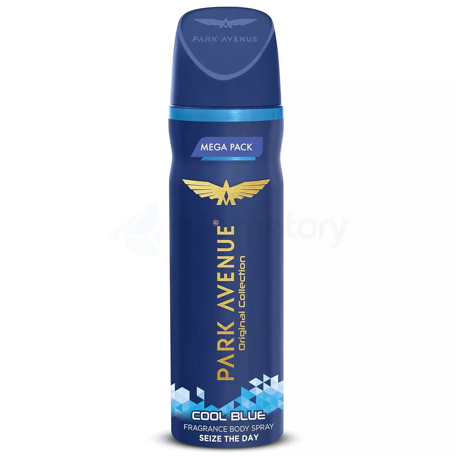 Park Avenue Cool Blue Fragrance Body Spray For Men-150ml