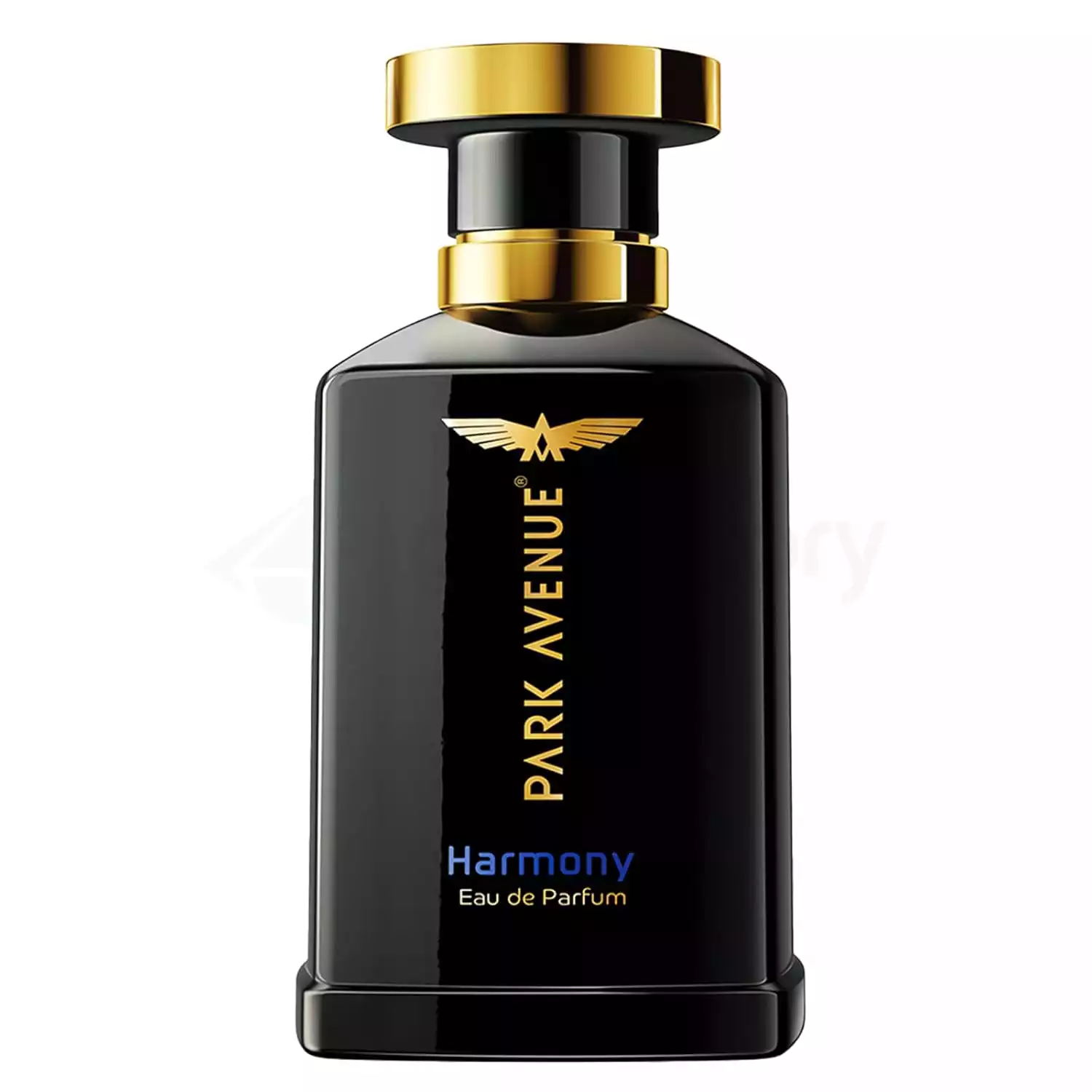 Park Avenue Harmony Eau de Parfum for Men-100ml
