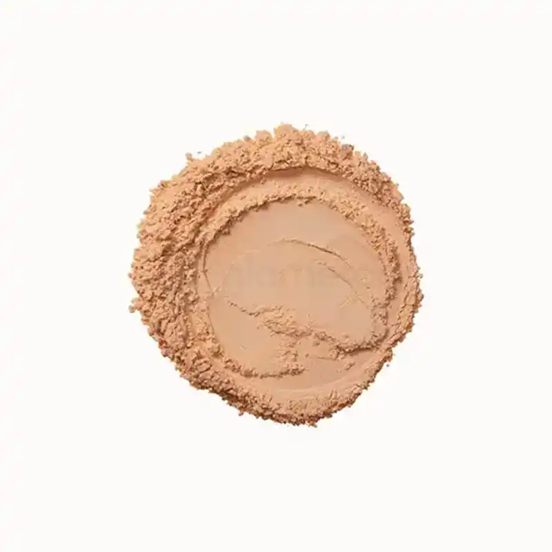 Color Max Photo Chromatic Pressed Powder-06 Honey thumbnail 4